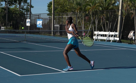 Periodization Chart Preview